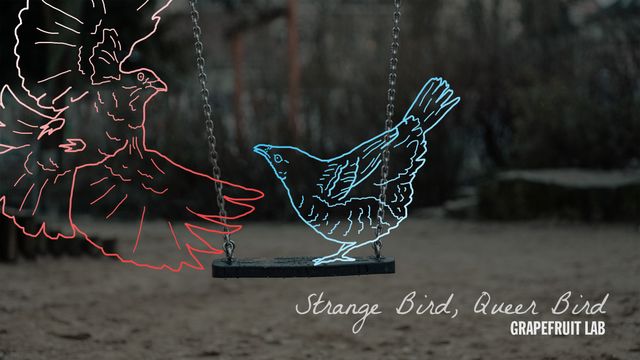 Two birds drawn in blue and red on a photo of a swing. Strange Bird, Queer Bird - Grapefruit Lab